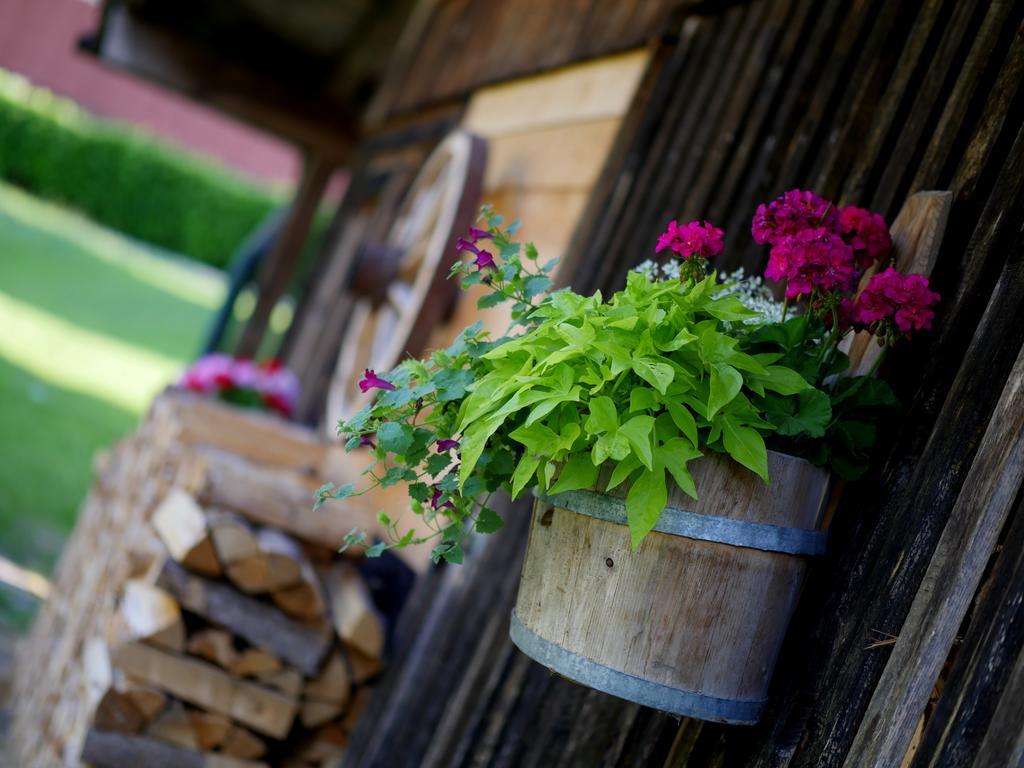 Apparthotel Ederfeld Mayrhofen Extérieur photo